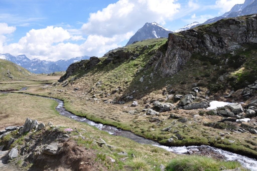 Champoluc